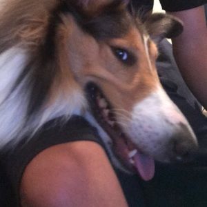 Meet your Posher, Patrick